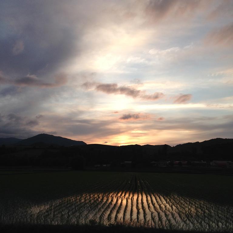 ホテル エレメント 中富良野町 エクステリア 写真