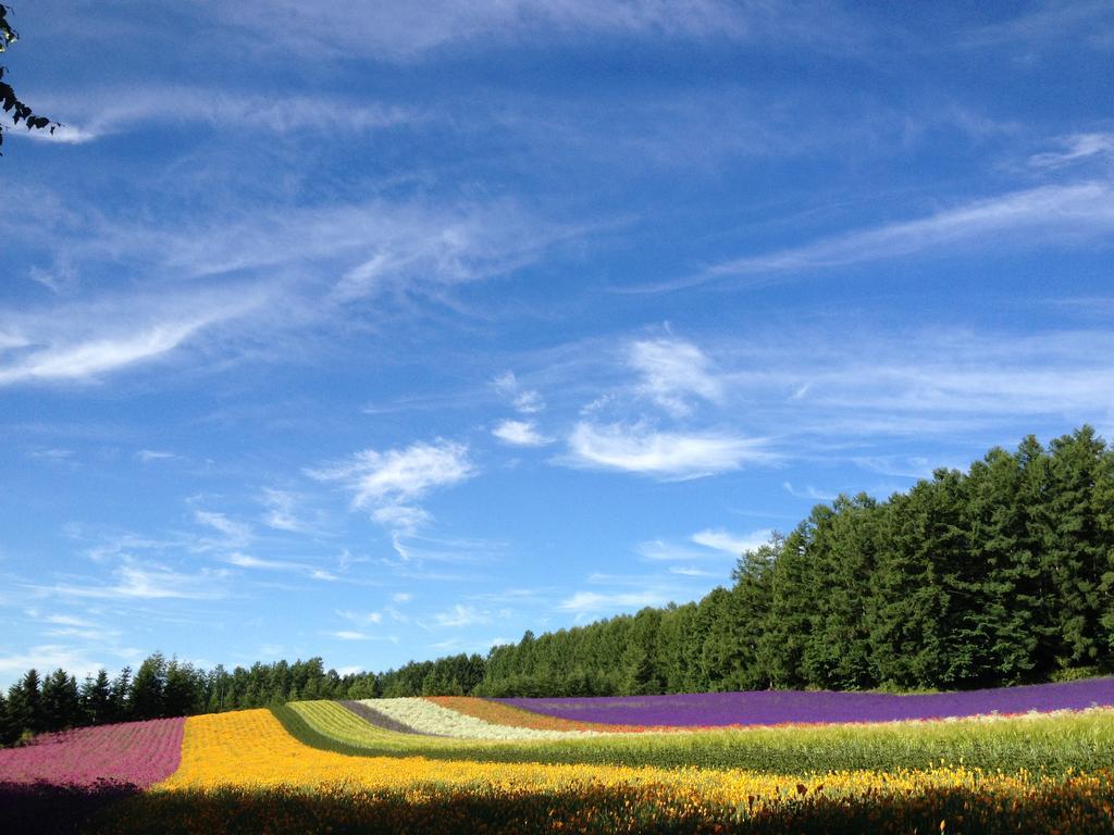 ホテル エレメント 中富良野町 エクステリア 写真